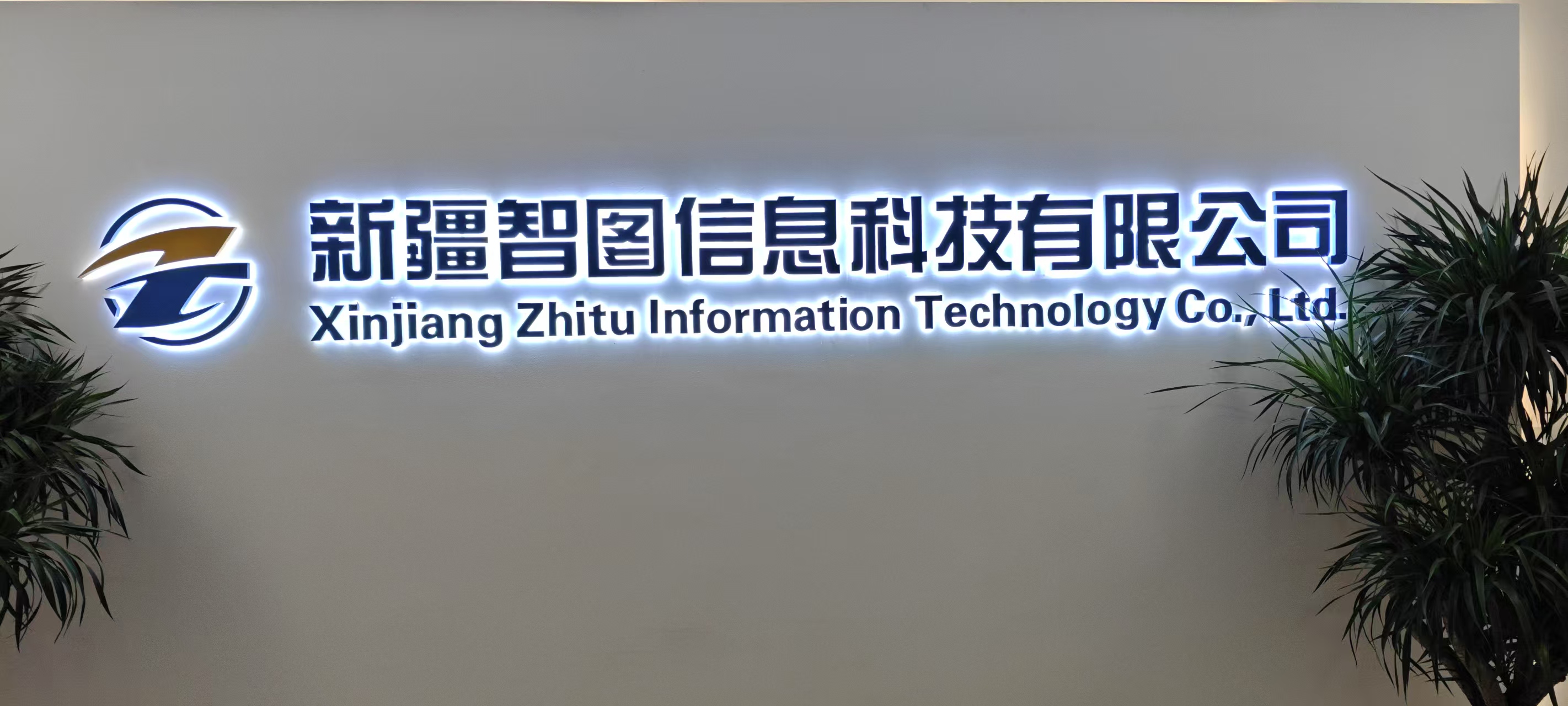 公司成立